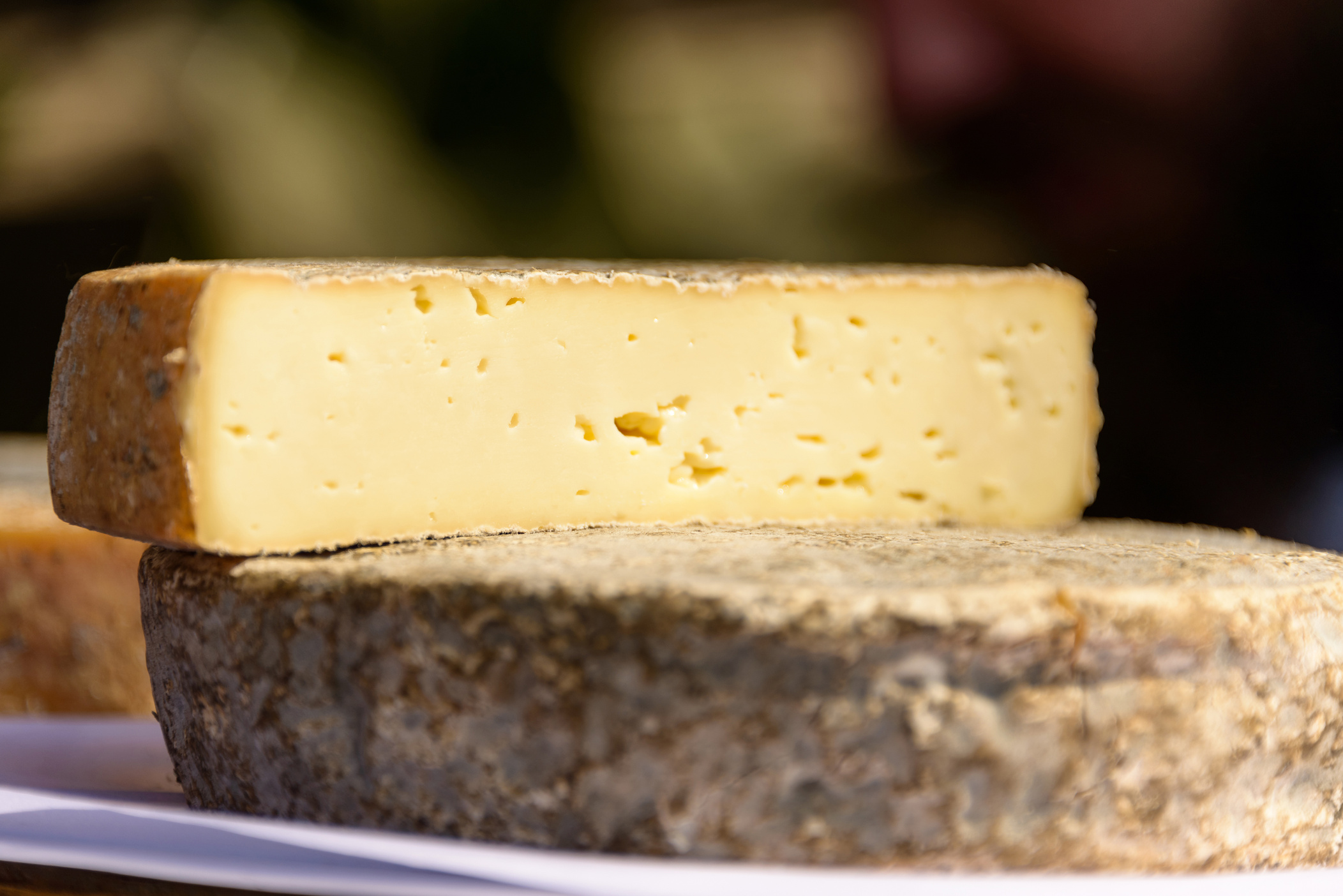 French Tomme Cheese